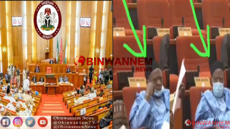 Naija senator removes face mask to sneeze droplets across the entire senate floor
