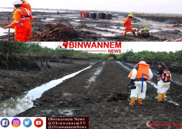 Ogoni Clean-Up: Court orders CBN to pay N182.7bn over Shell’s oil spillage