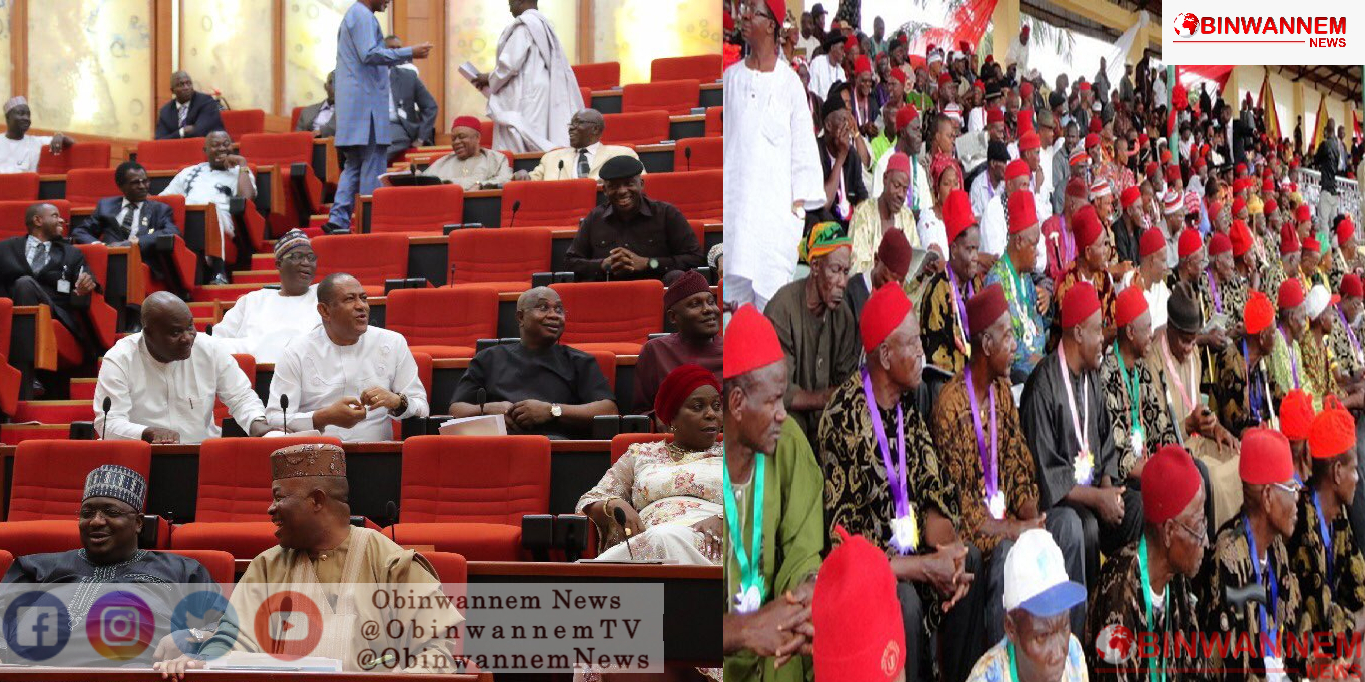 Ohanaeze throws behind NASS over removal of service chiefs
