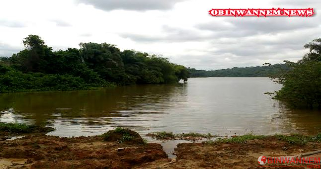 The mysterious lake that sank an iroko tree in Abatete, Anambra