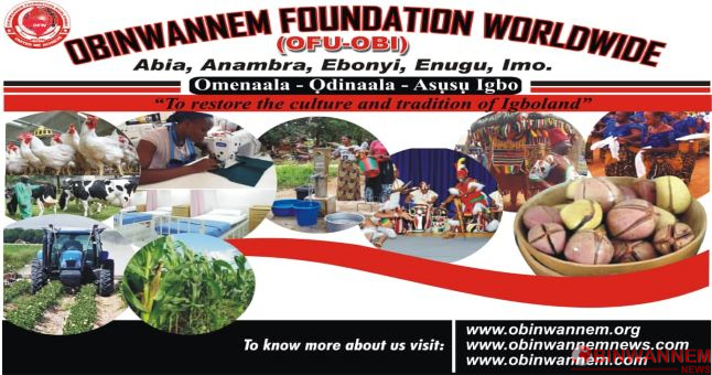 OFW: Obinwannem Foundation Worldwide rules out modalities for membership