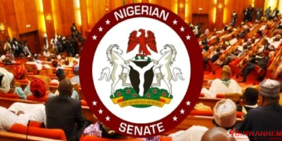Nigerian Senate Announces Amendments to the National Electoral Act, Encouraging Voting Abroad